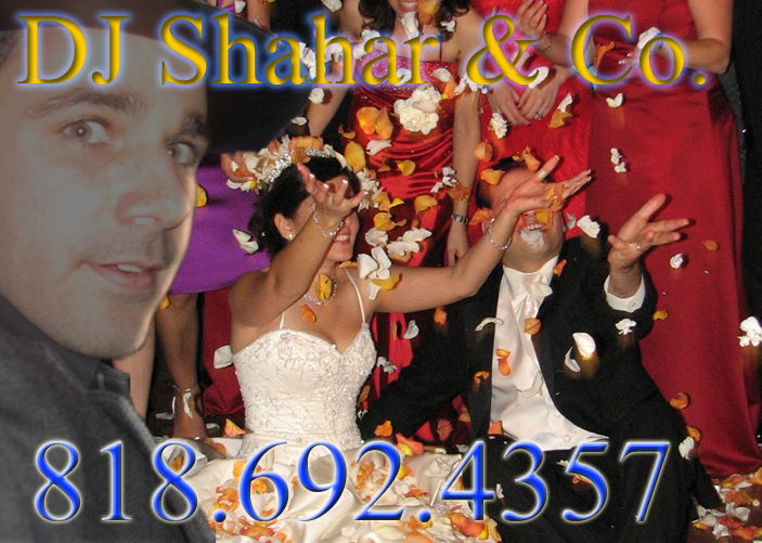 Los Angeles Wedding DJ